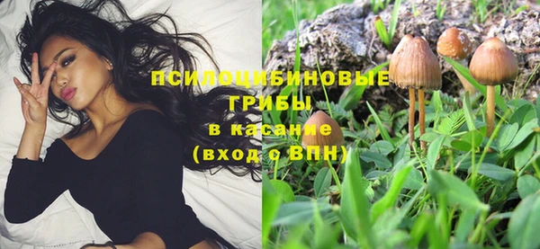 прущие крисы Алзамай