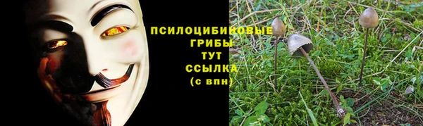 мескалин Алексин