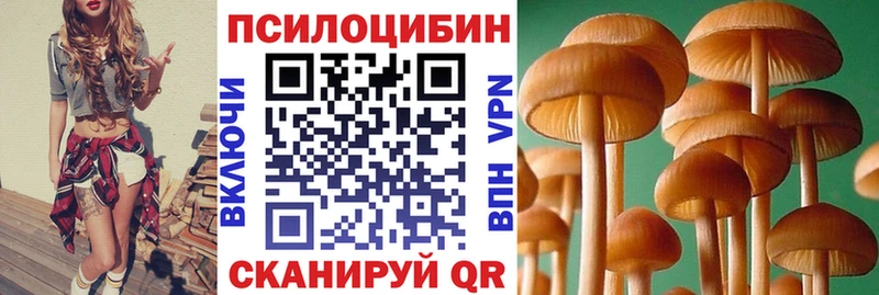 где купить   Пролетарск  Псилоцибиновые грибы Cubensis 